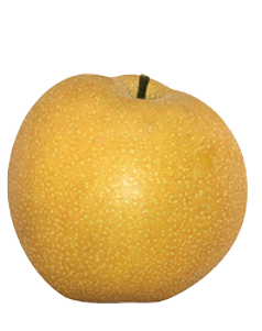 asian-crisp-pear.png