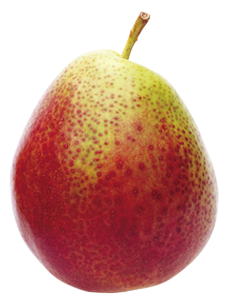 forelle-pear.png