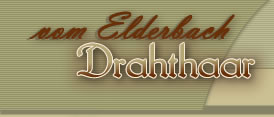 Deutsch Drahthaar Gun Dogs:: Roger M. Green Breeder