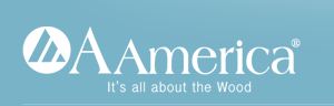 AAmerica_Logo.JPG