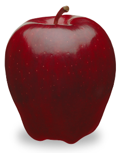 https://earthandskystudios.net/chelanfresh.com/application/files/5214/4978/8041/red-delicious-apple-chelan-fresh1.png
